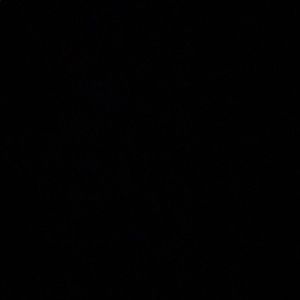 Meet your Posher, Ava